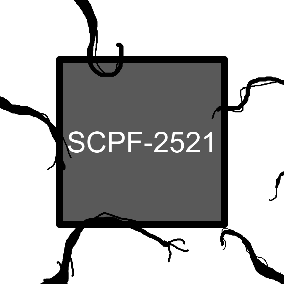 T2.3