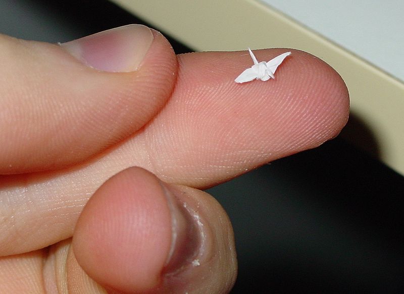 800px-Smallcrane.jpg