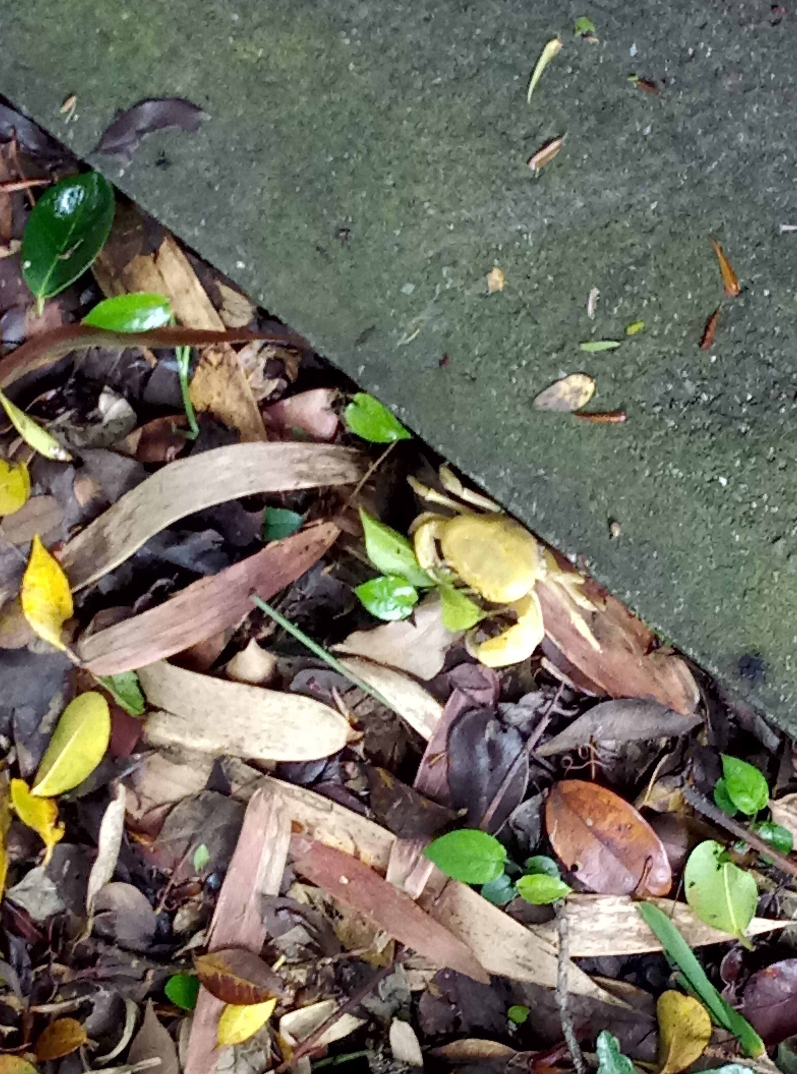 IMAG0208.jpg