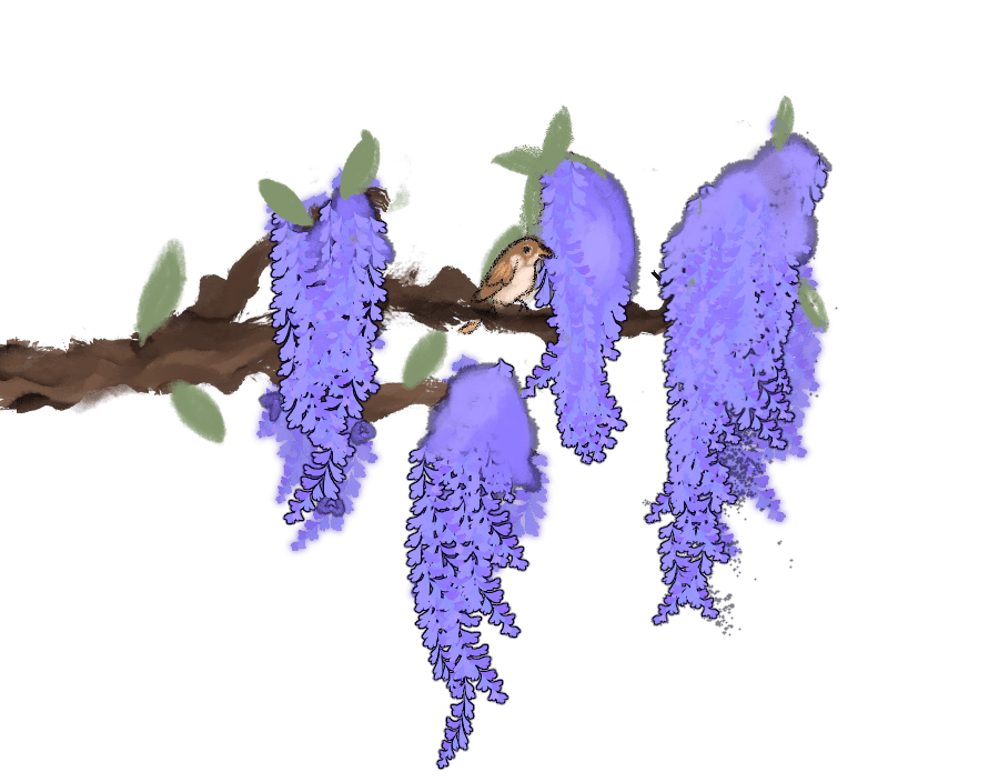 11 - Eventree.png