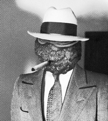 doncavatelli.jpg