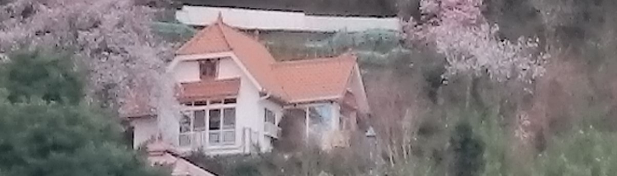 header.jpg