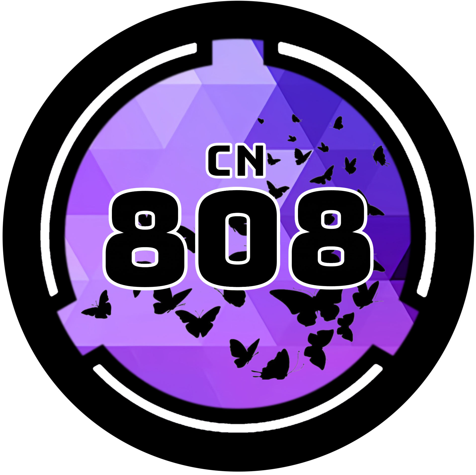 Site-CN-808,机密地点。 Site-CN-808-LOGO