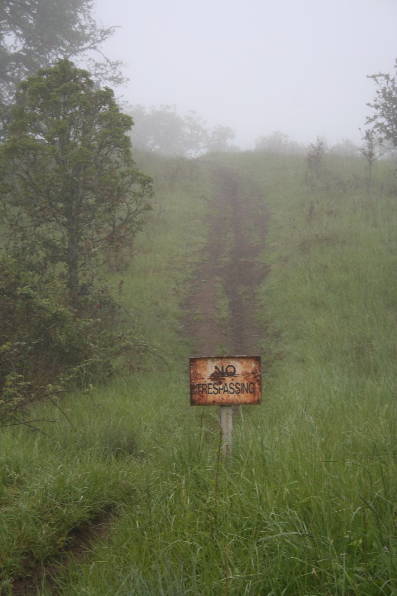 trailmb.jpg