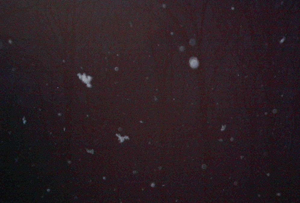 emptysnow.jpg