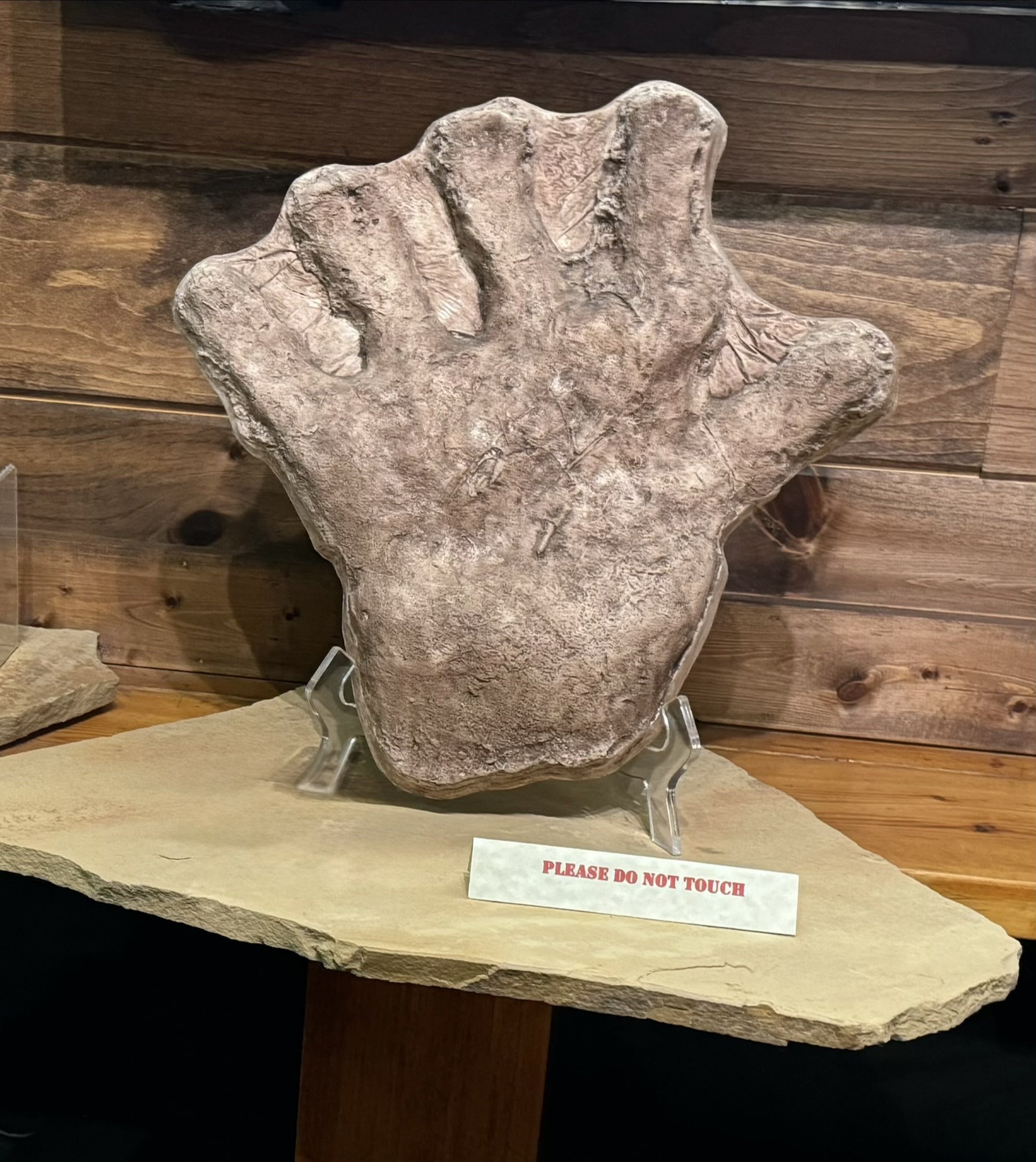 footbig.jpg