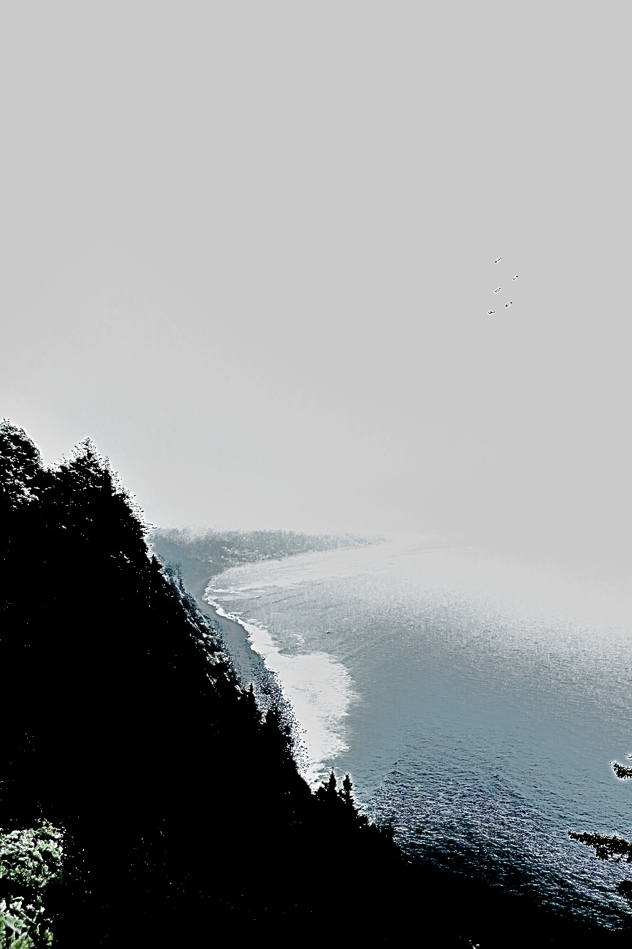 SEA-3