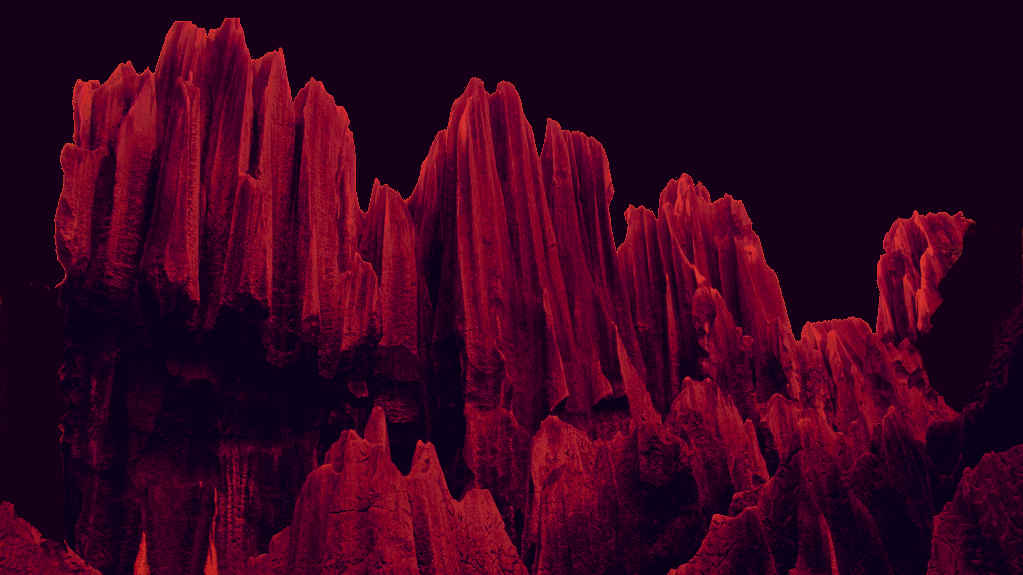stone_forest.jpg