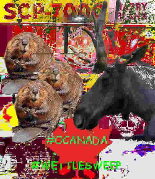 cmNzYRB.jpg