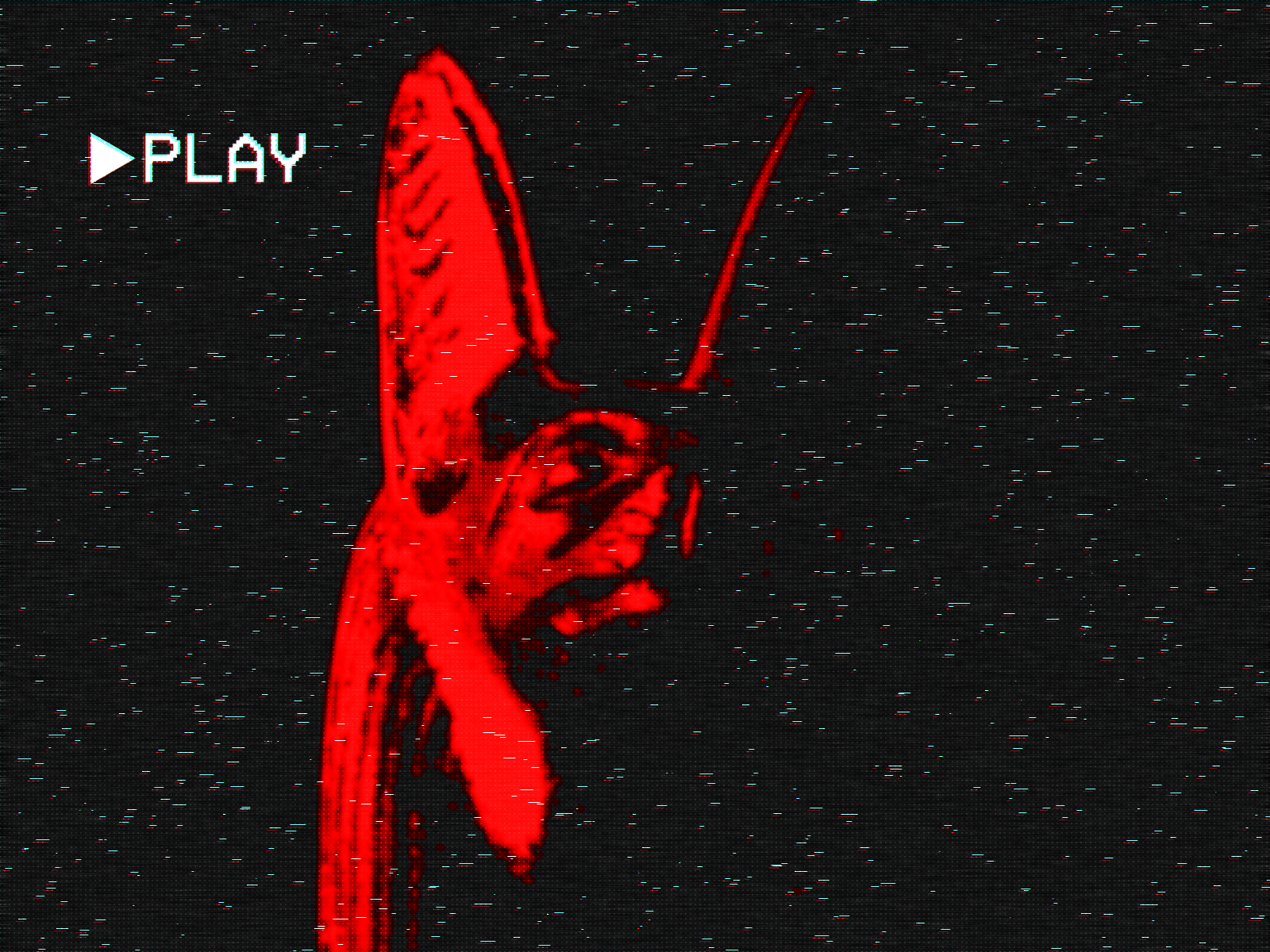 anubis (3).png