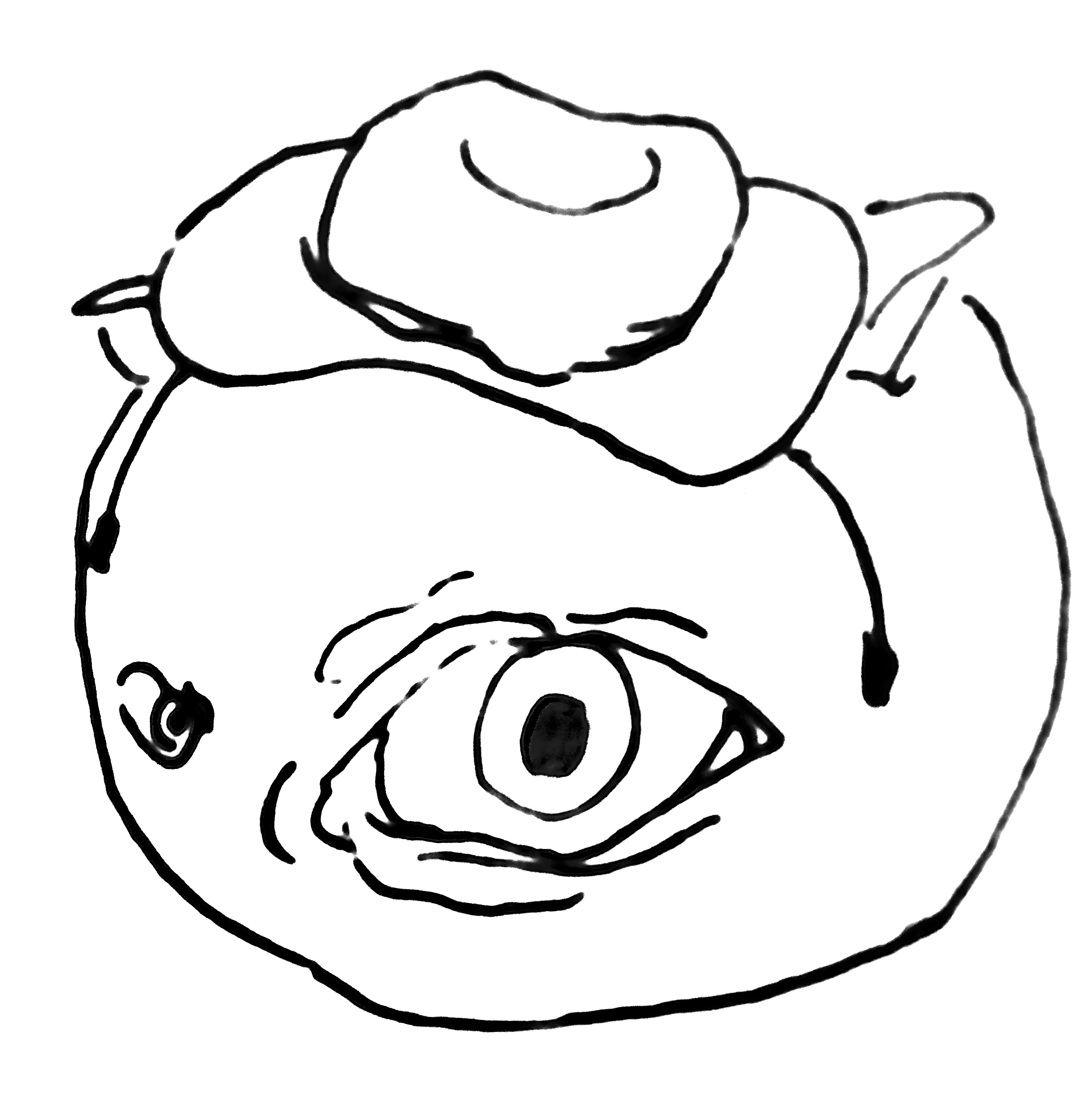 fifth-c