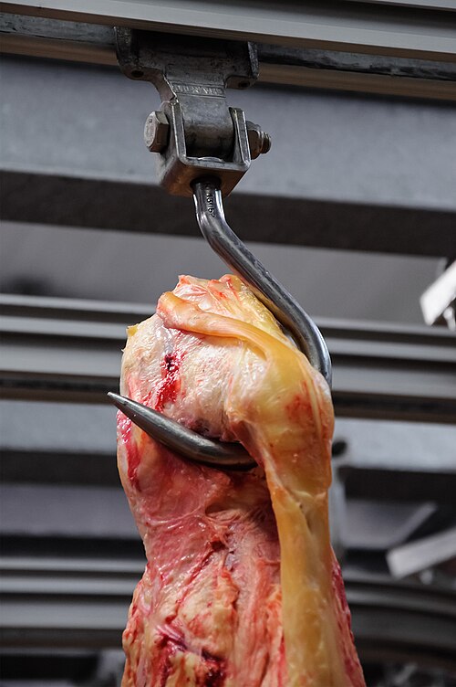 butcher-hook.jpg