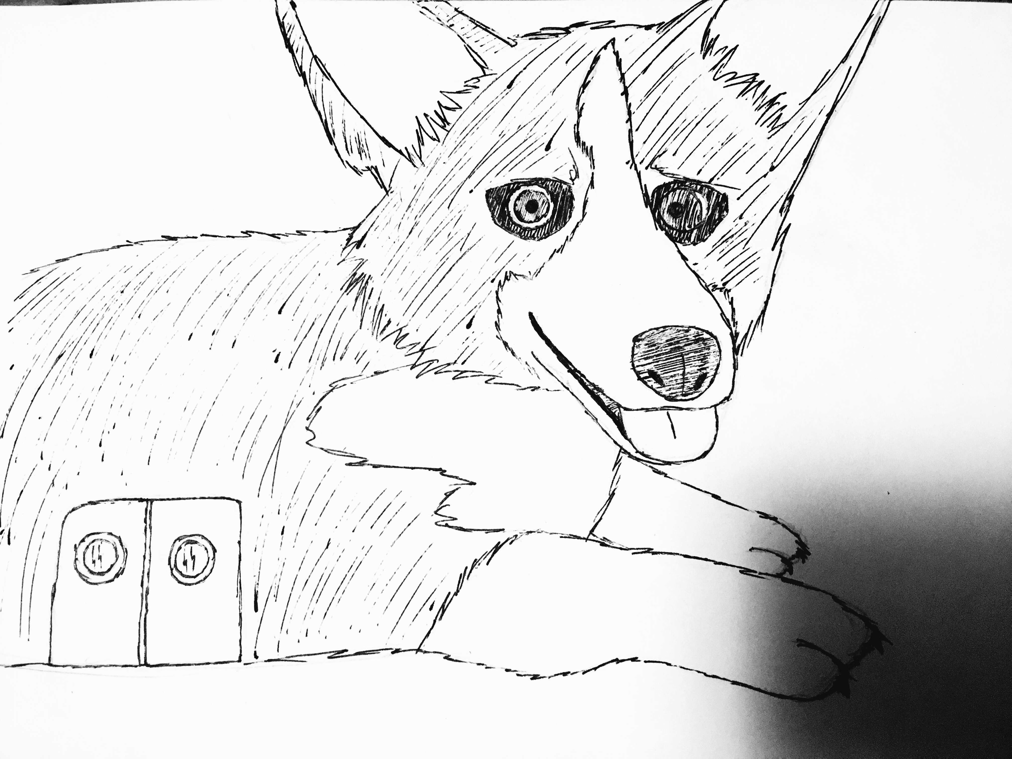 LONGCORG