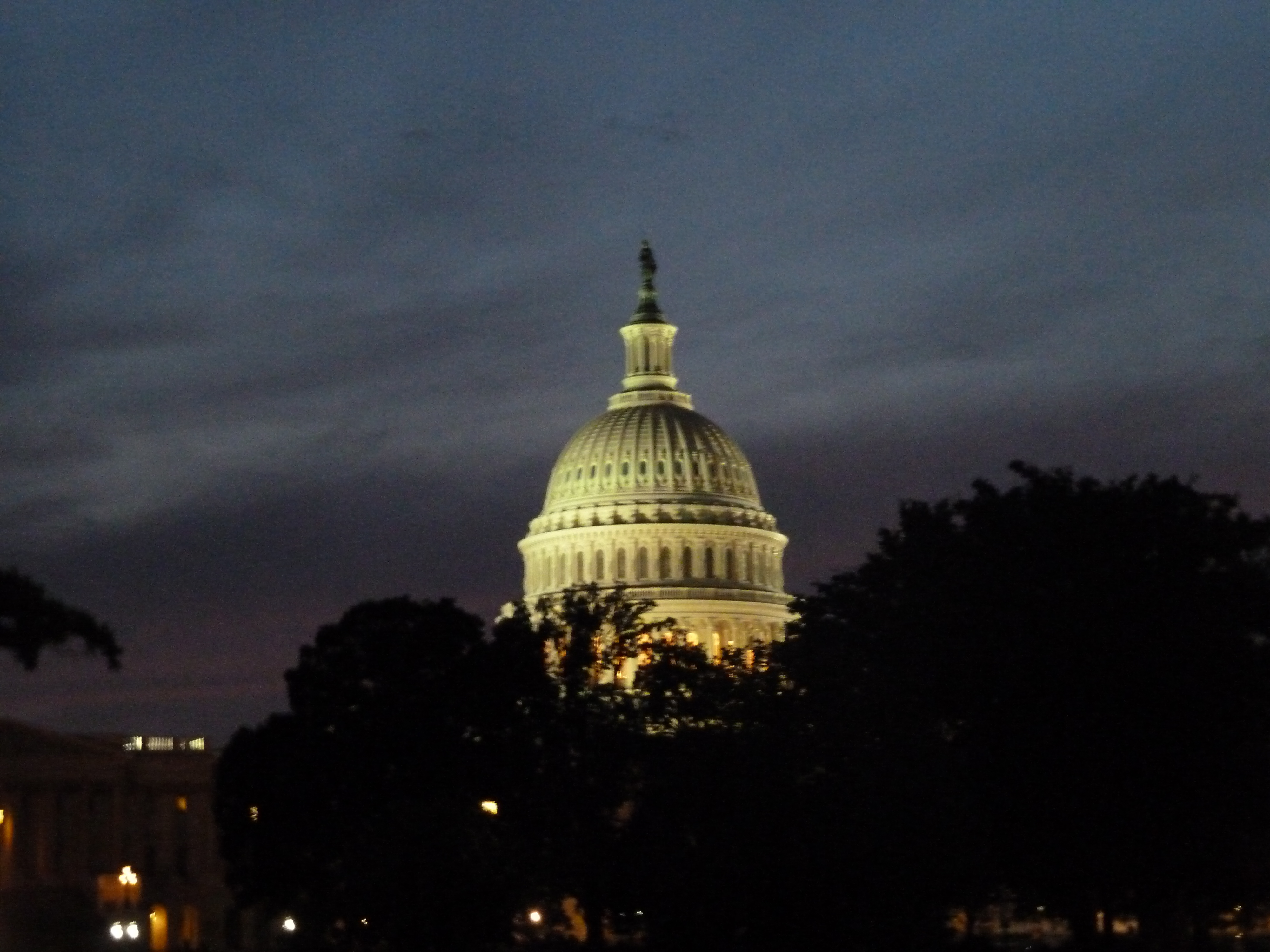Capitol_at_night_P1160633.jpg