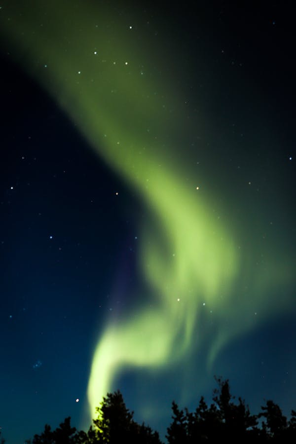 pexels-photo-13209494.jpeg