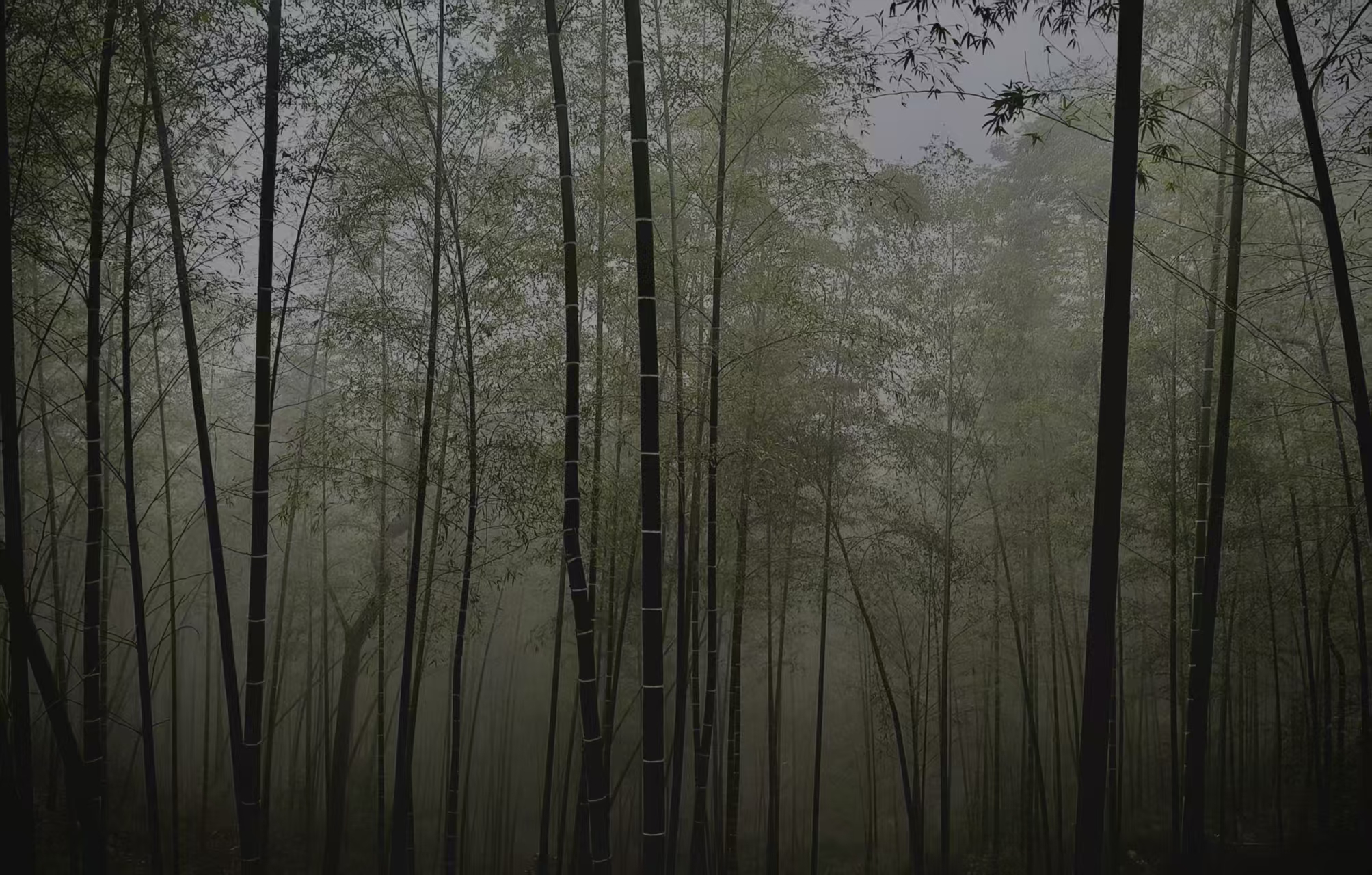 第二段