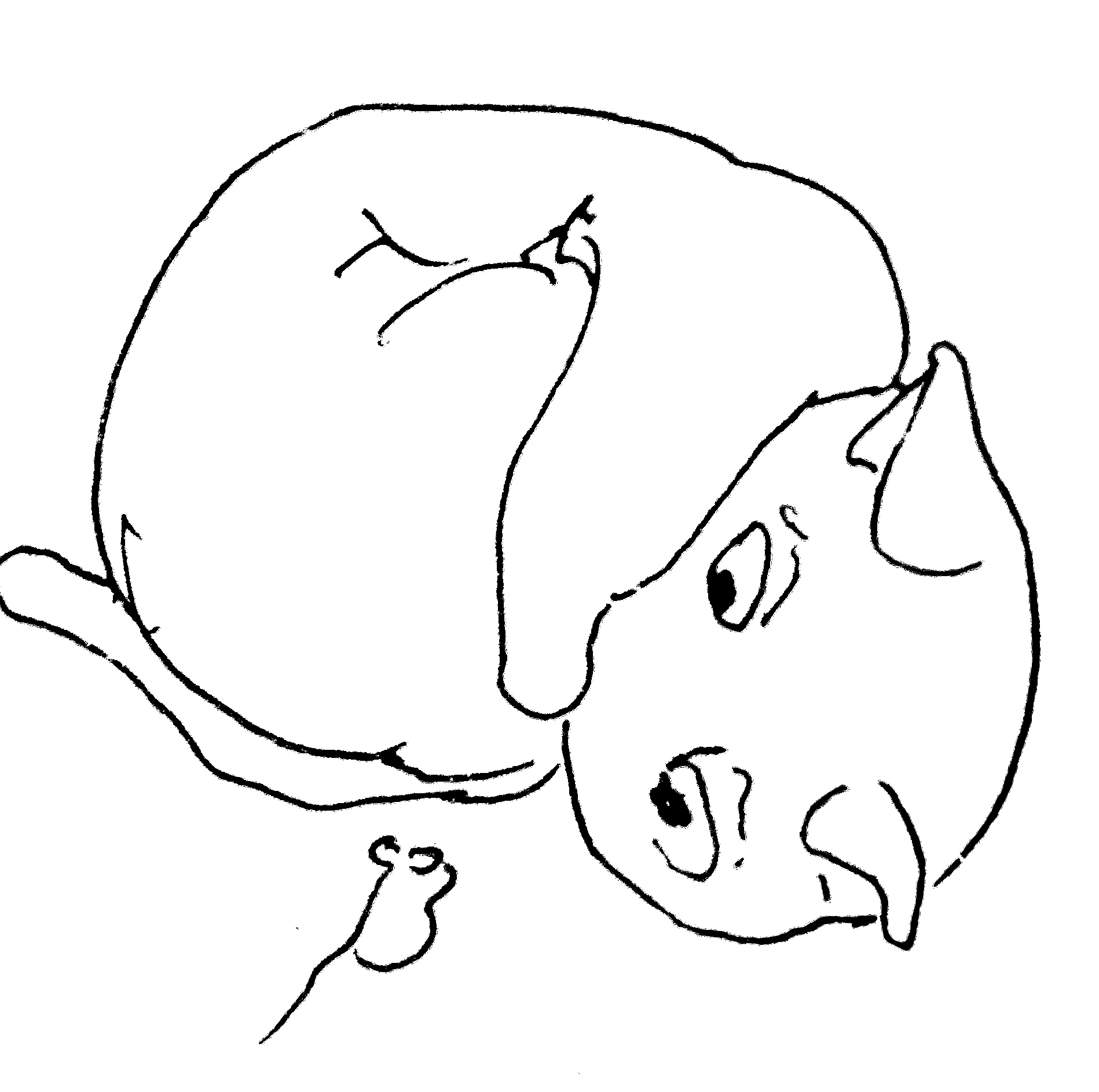 g
