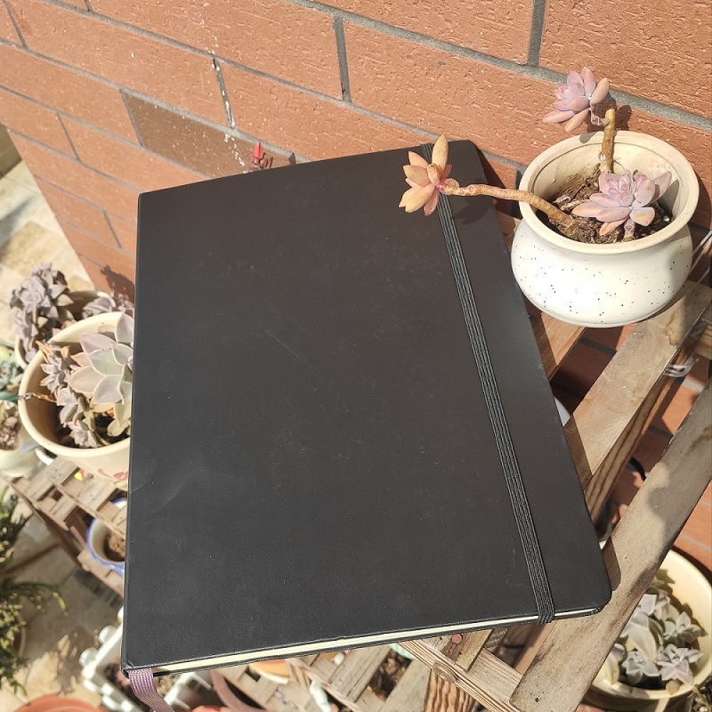 notebook.jpg