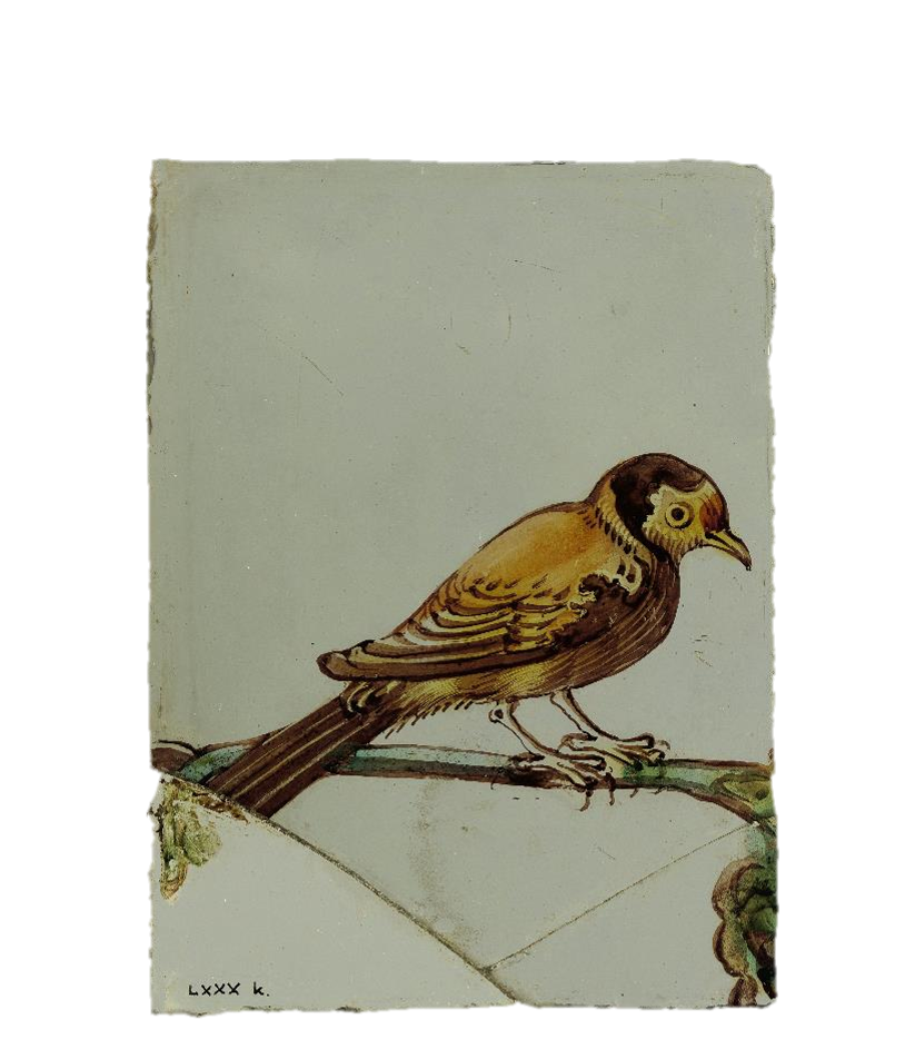 Bird3.png