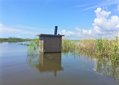 Bathroom - Flooded
