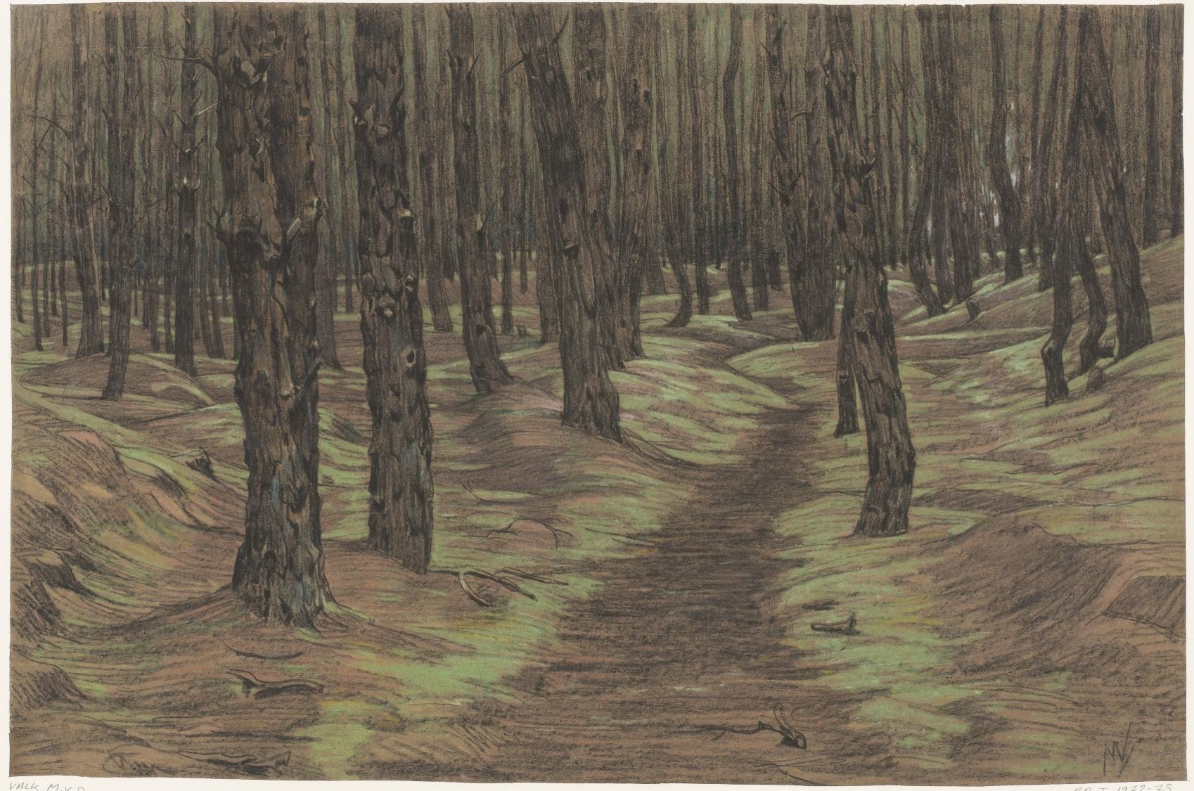 forest.jpg