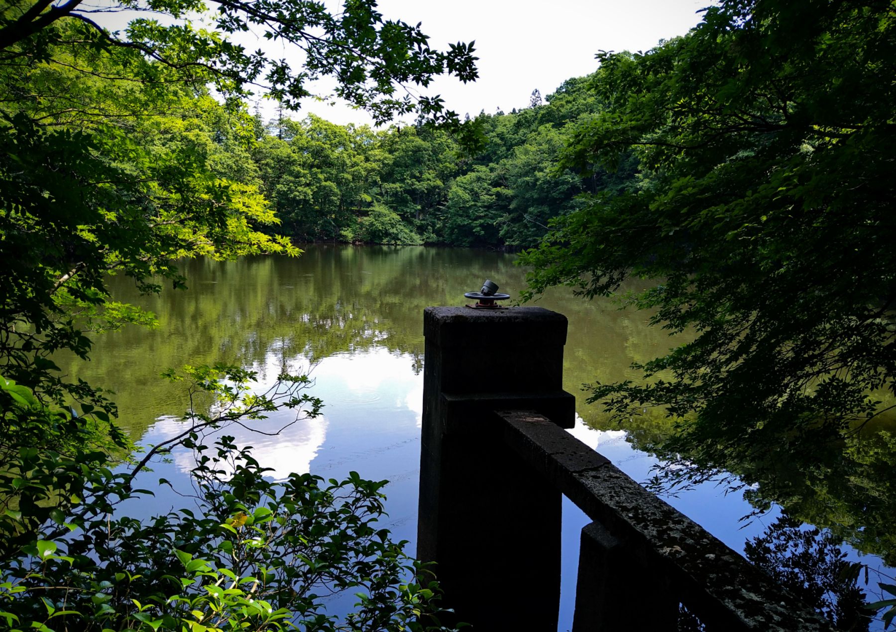 無題131_20250617172013.jpg