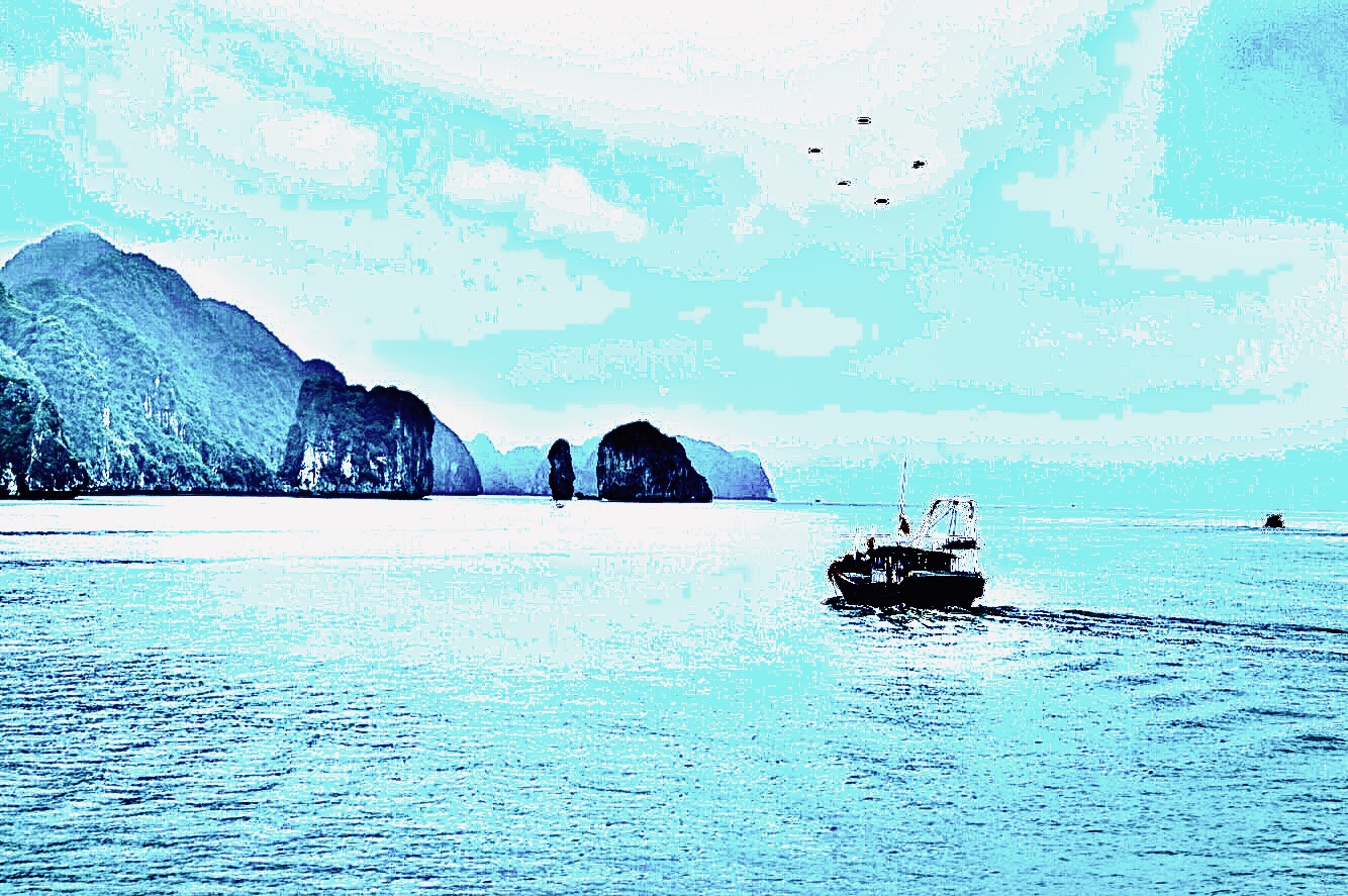 SEA-6