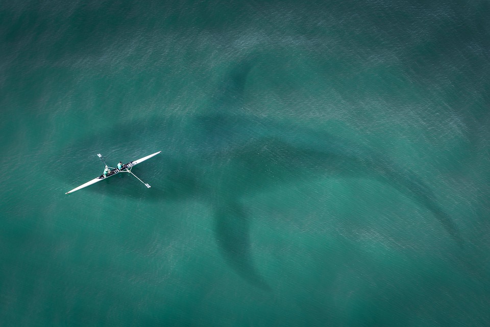 megalodon.jpg
