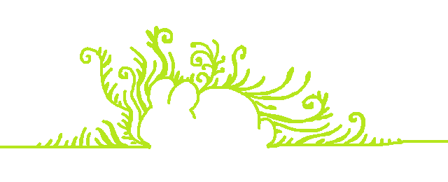 SCP-4043