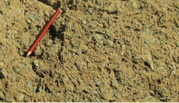 Bioclastic_limestone.PNG
