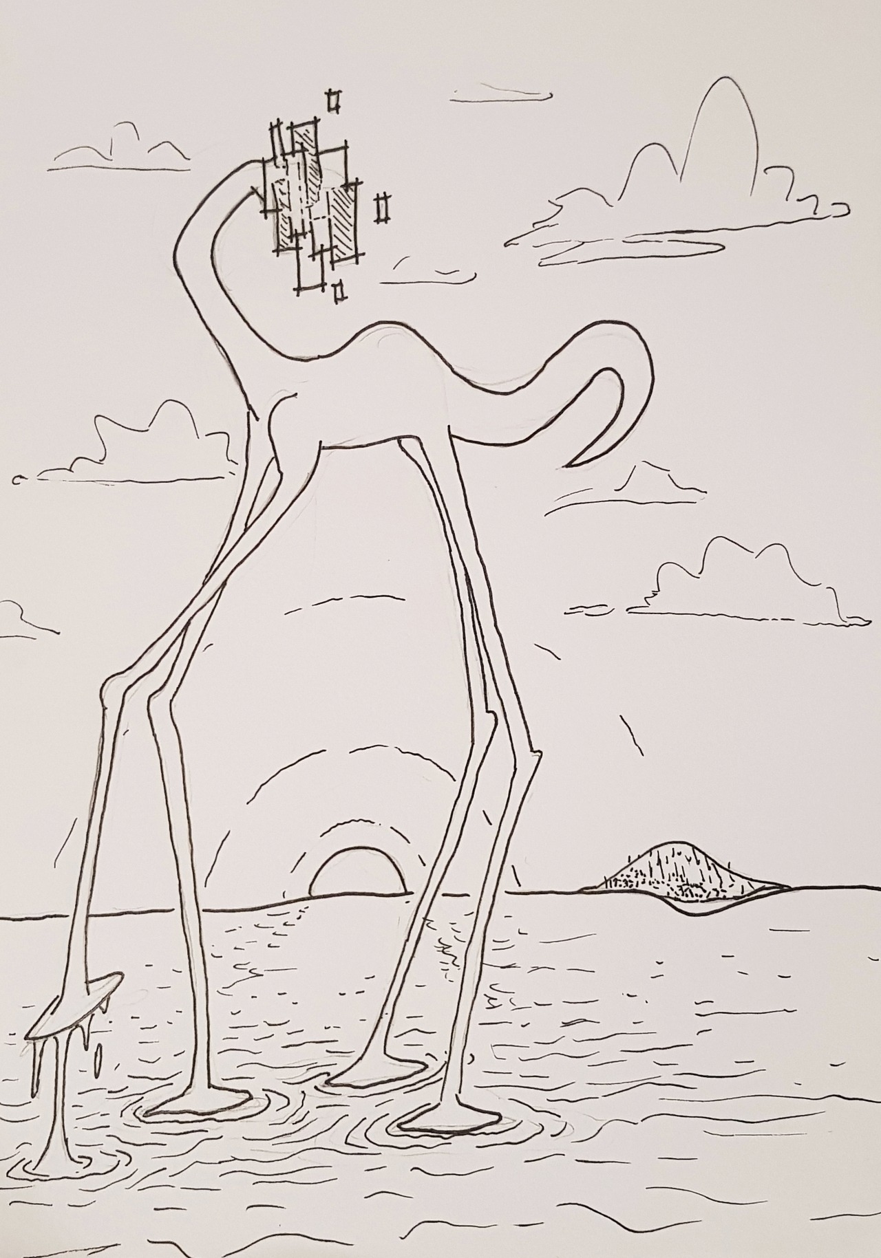 2256.jpg