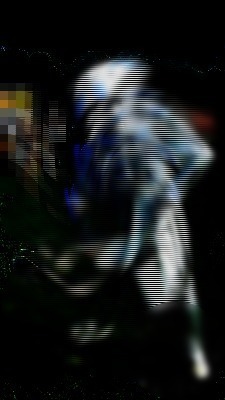 Entity.jpg