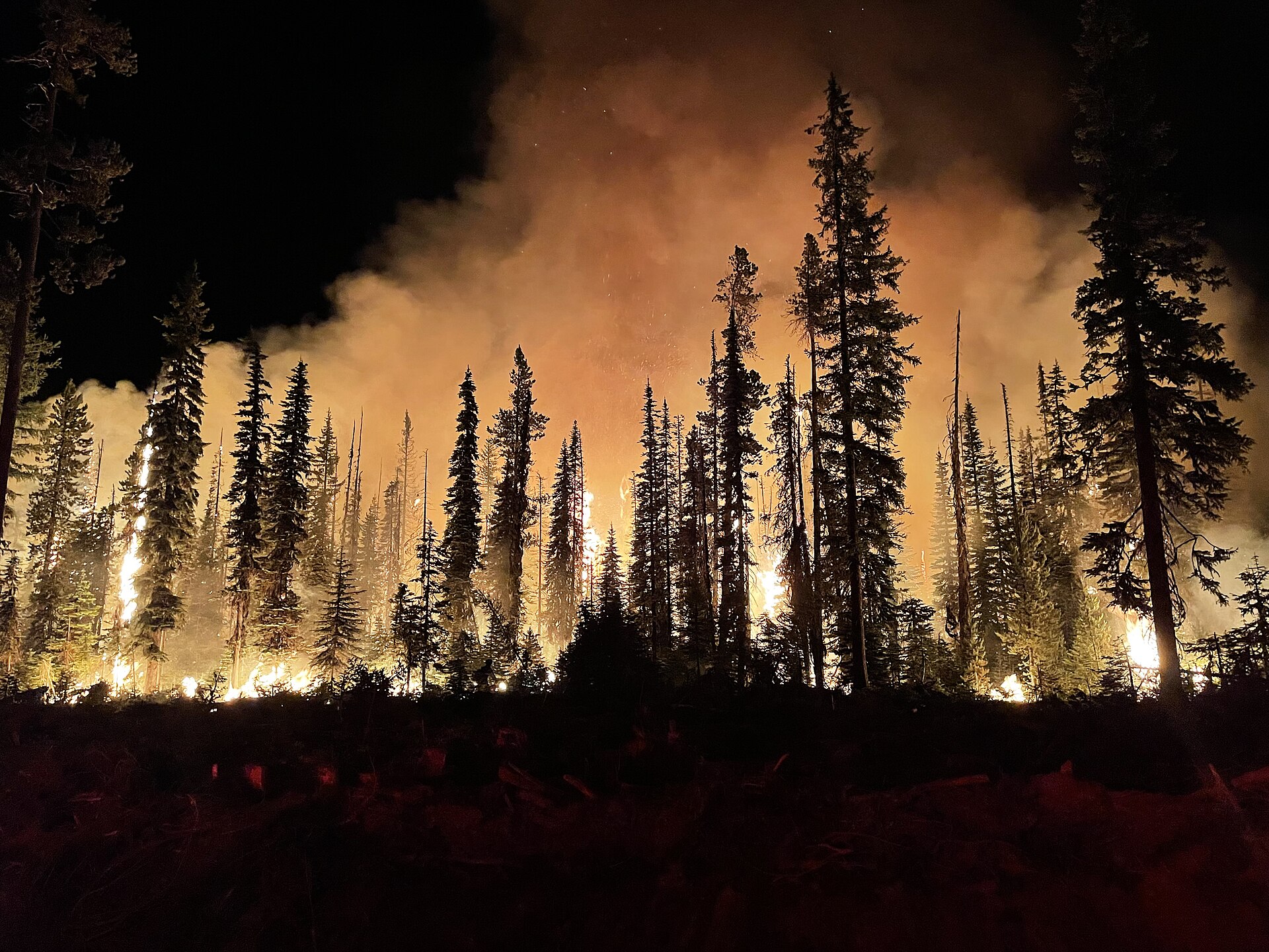 1920px-Lick_Fire_on_the_Umatilla_National_Forest_burning_at_night.jpg