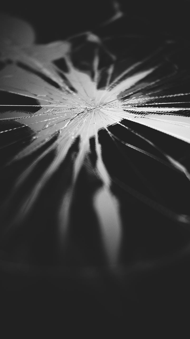pexels-photo-7666804.jpeg