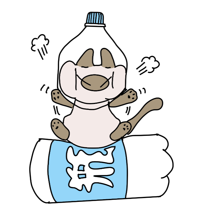 xdns-5.png