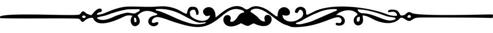 divider-2154993_960_720-e.png