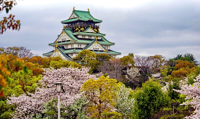 cherry-blossoms-6329828_640.jpg