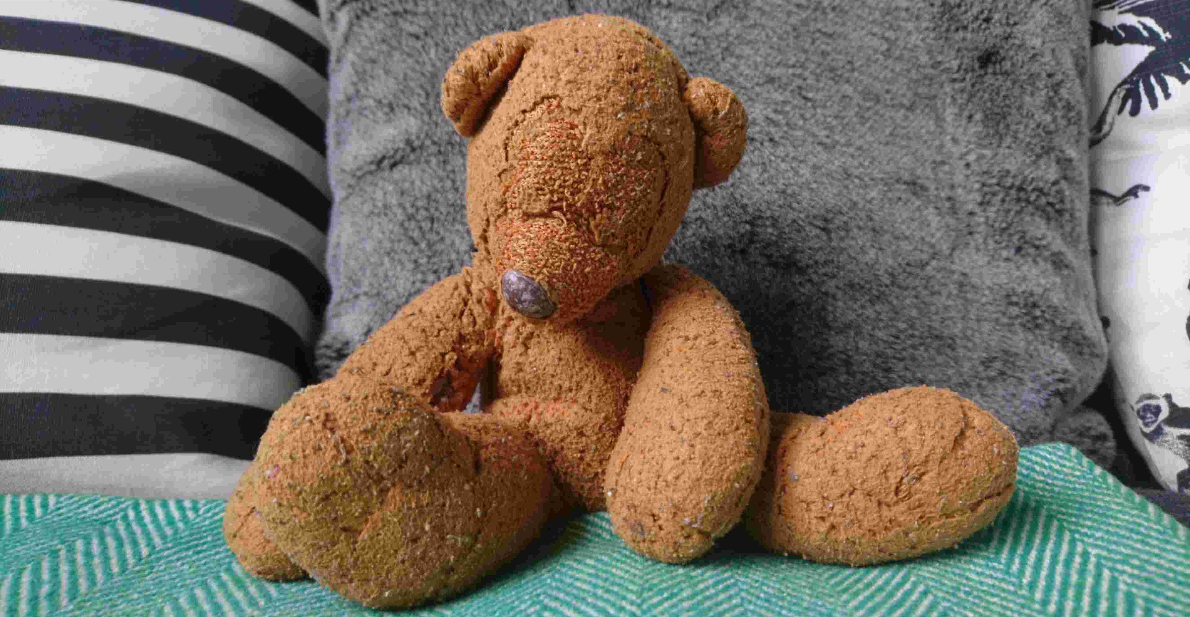 Teddy