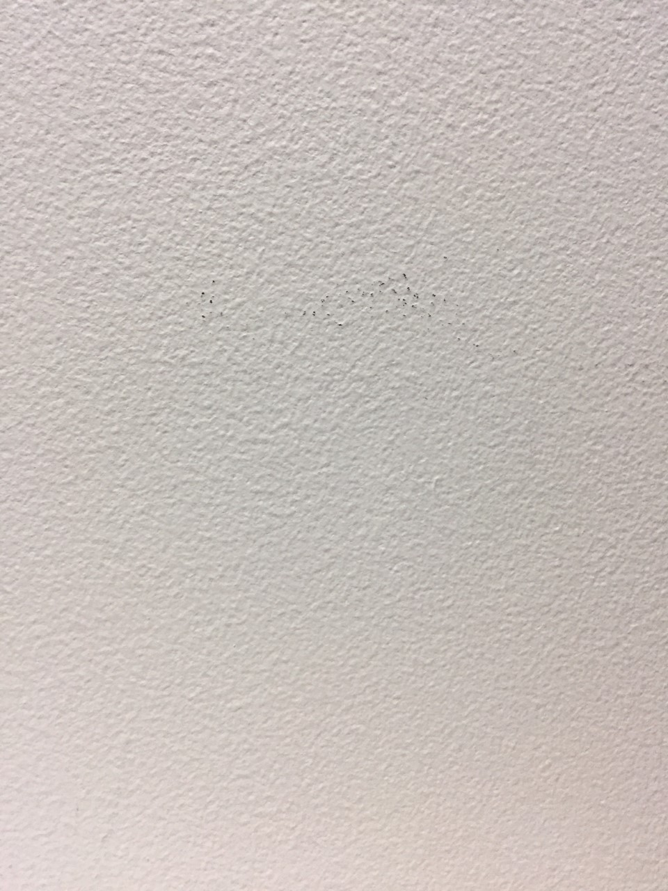 White_wall.jpg