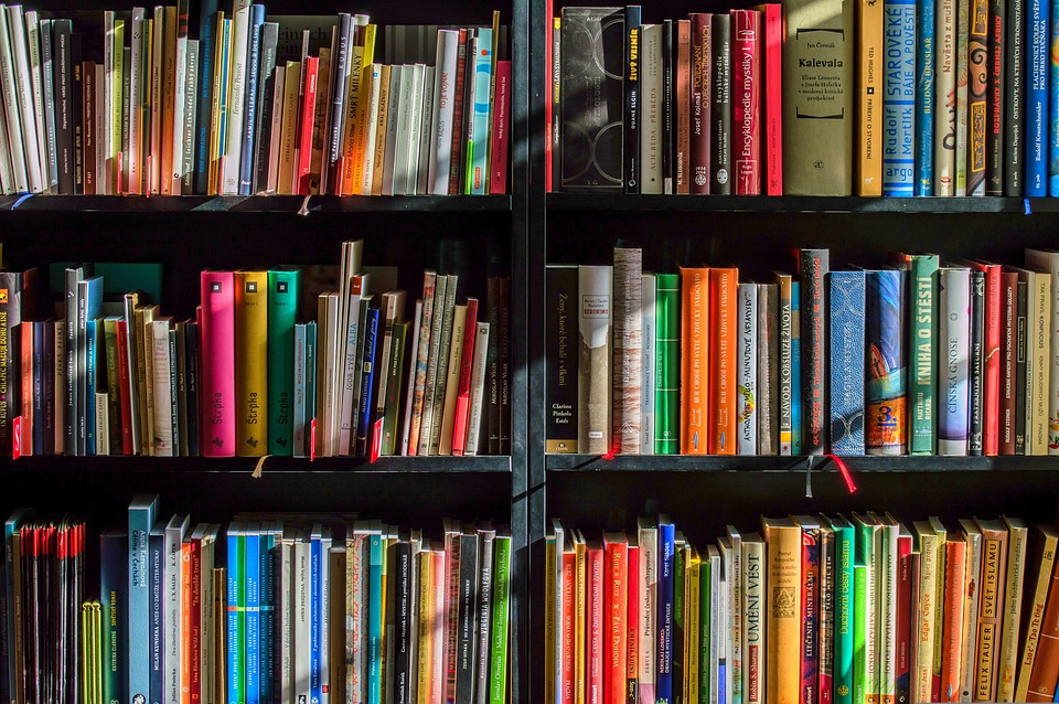 books-1204029_960_720.jpg