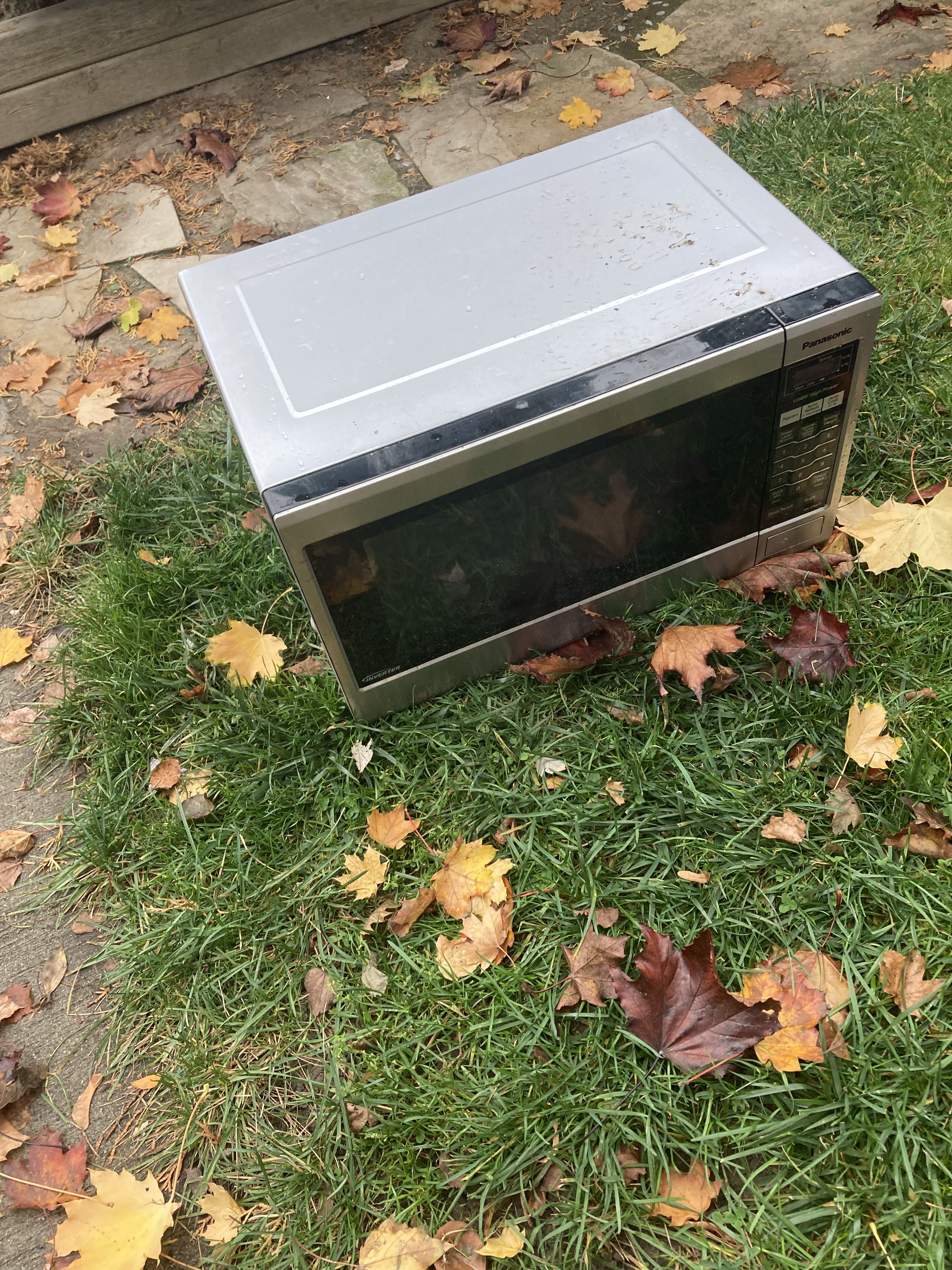 microwave_1.png