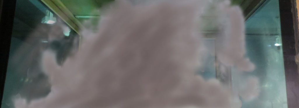 new.png