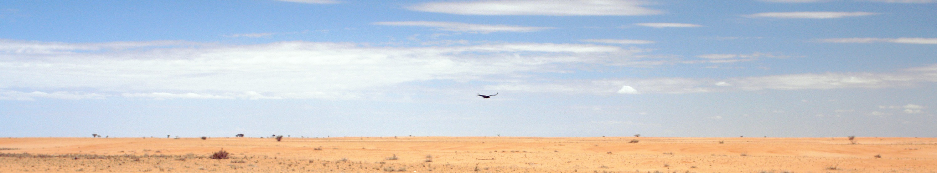 desert.jpg