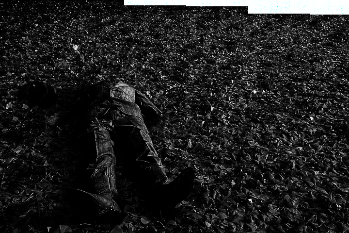 PicsArt_09-06-01.31.20.png