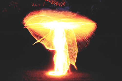 toyoho04.png