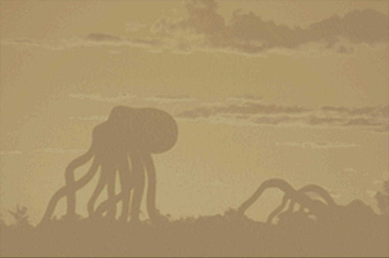 octopustree.jpg