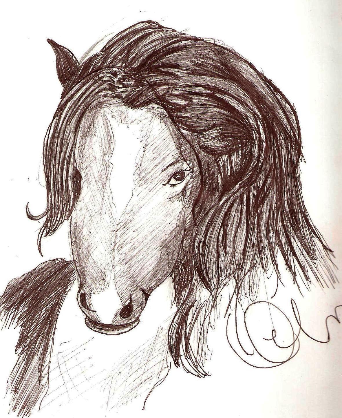 cegua.jpg