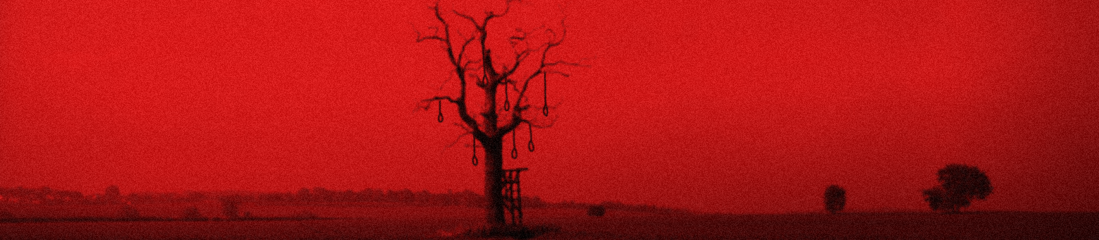 Tree.png