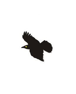 fly3.png