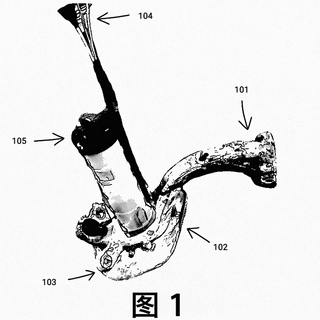 FIG1